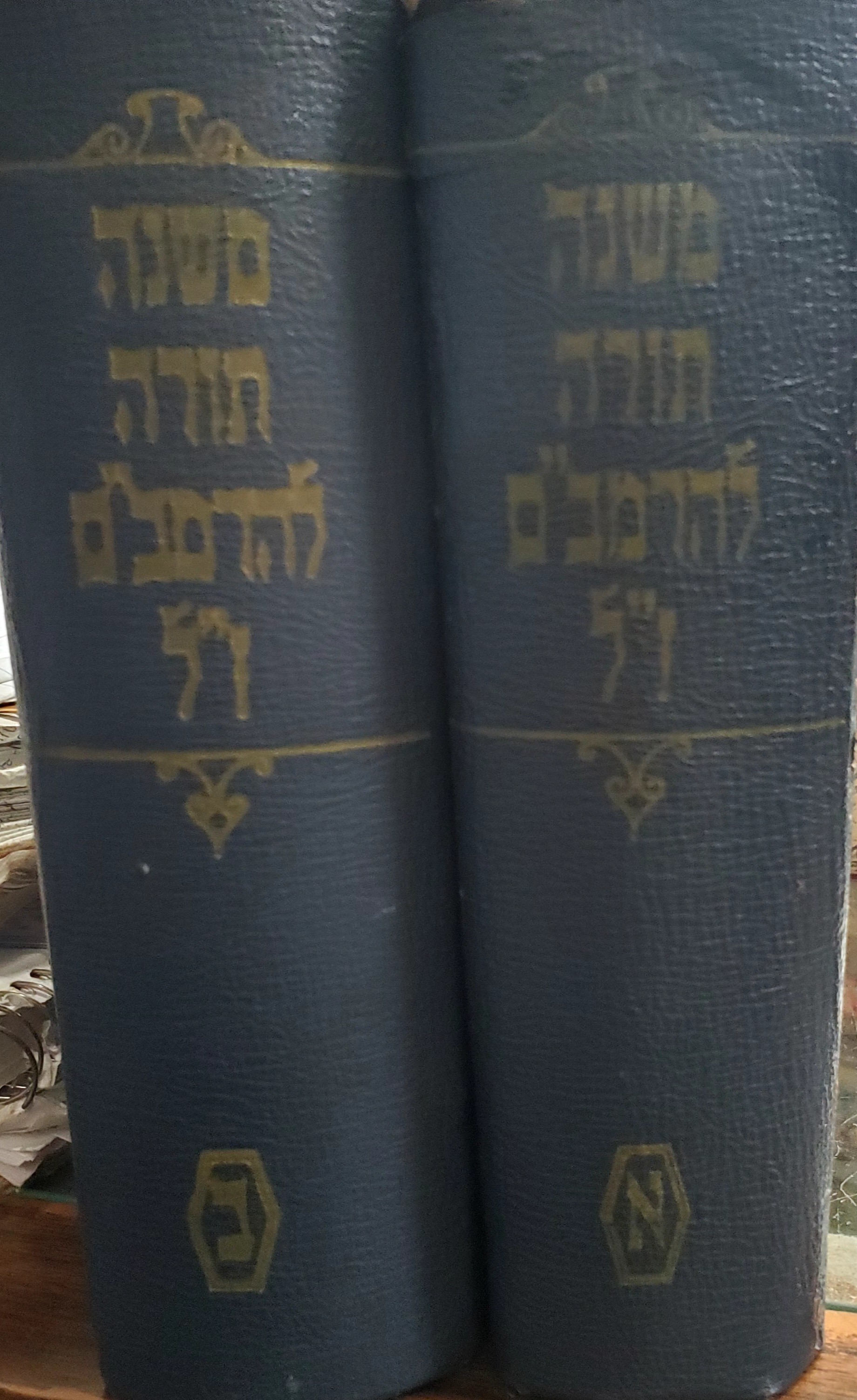 Rambam in 2 Volumes